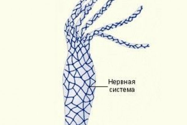 Как восстановить аккаунт на кракене даркнет