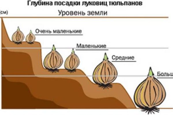 Ссылка на кракен в браузере