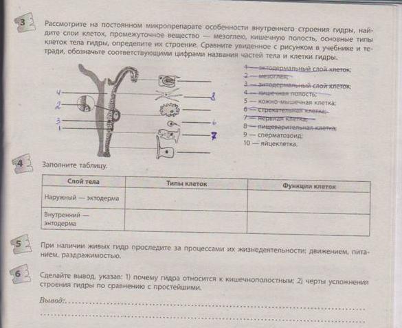 Кракен почему пользователь не найден