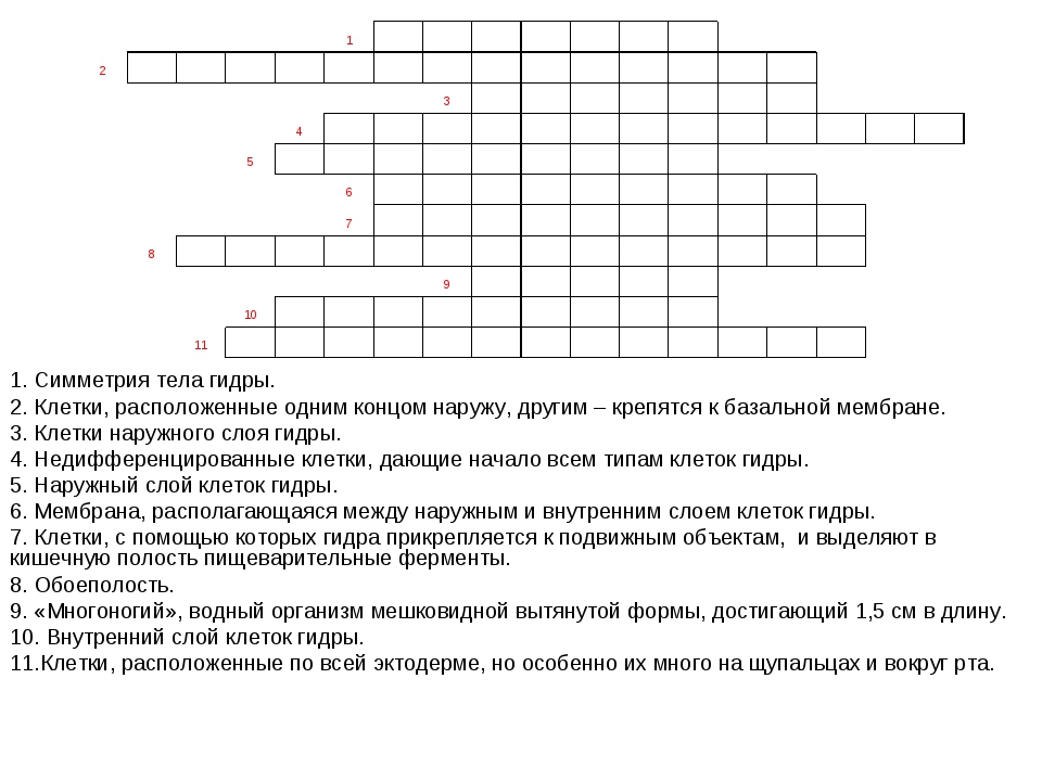 Кракен что за сайт