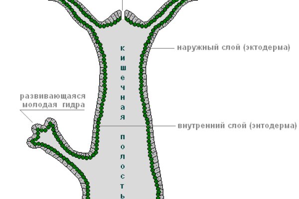 Забыл пароль от кракен